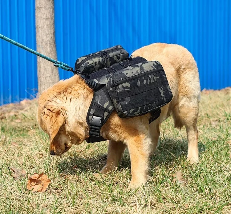 10 10