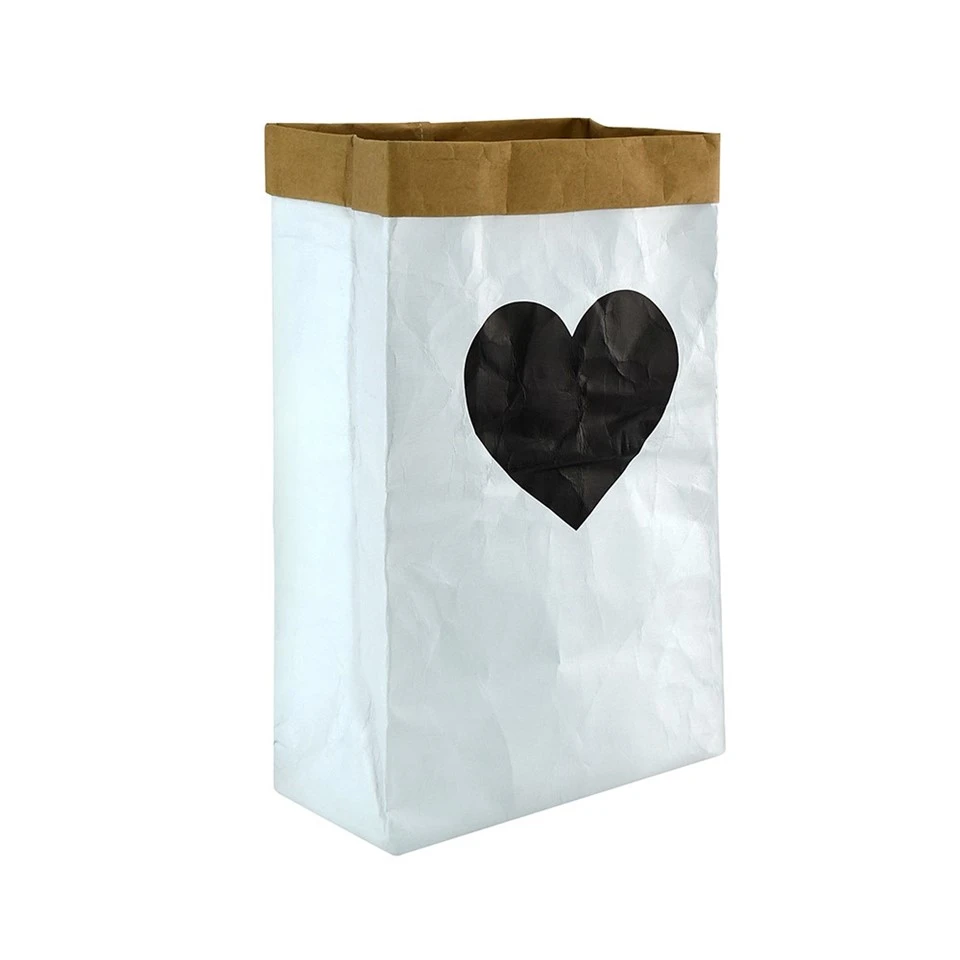 White Tyvek Storage Bag